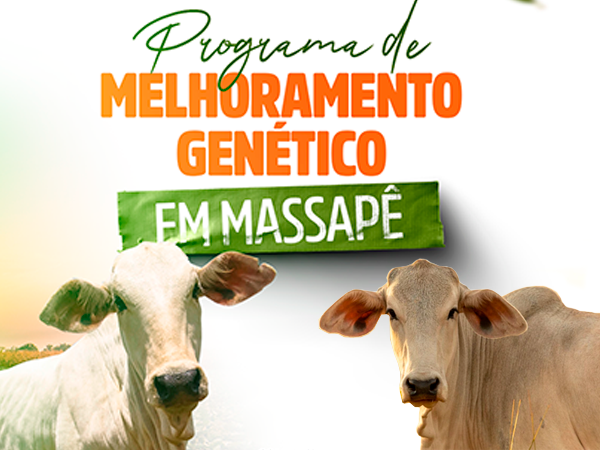 Programa de Melhoramento Genético

Mais Pecuária Brasil